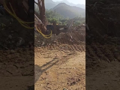 نوع هيدروليكي (ووينغ) حفرة الحفرة ، حفرة الخشب بخمسة مخالب ، بدلة للحفرة